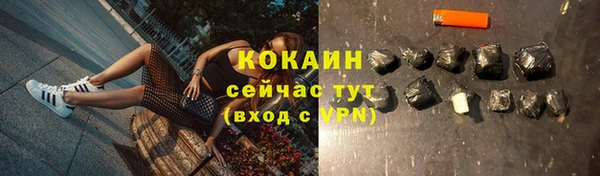 шишки Армянск