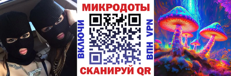 KRAKEN ССЫЛКА  Валдай  Галлюциногенные грибы Cubensis 